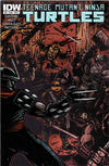 Cover for Teenage Mutant Ninja Turtles (IDW, 2011 series) #28 [Cover B - Kevin Eastman Variant]