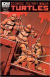 Cover for Teenage Mutant Ninja Turtles (IDW, 2011 series) #12 [Cover A - Dan Duncan]