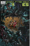 Cover for Teenage Mutant Ninja Turtles (IDW, 2011 series) #17 [Cover B - Kevin Eastman Variant]