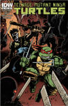 Cover for Teenage Mutant Ninja Turtles (IDW, 2011 series) #22 [Cover B - Kevin Eastman Variant]