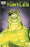 Cover Thumbnail for Teenage Mutant Ninja Turtles (2011 series) #38 [Cover A - Mateus Santolouco]