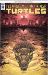 Cover Thumbnail for Teenage Mutant Ninja Turtles (2011 series) #56 [Regular Cover - Mateus Santolouco]