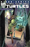 Cover for Teenage Mutant Ninja Turtles Microseries (IDW, 2011 series) #3 [Cover B - Valerio Schiti]