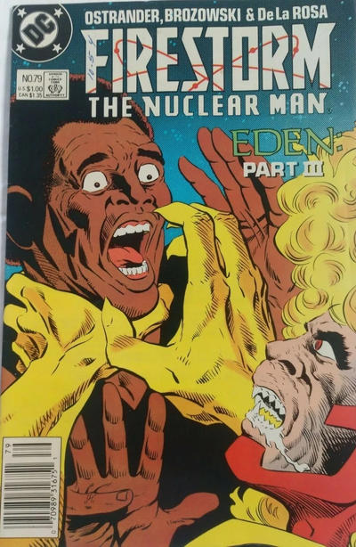 Cover for Firestorm the Nuclear Man (DC, 1987 series) #79 [Newsstand]