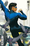 Cover Thumbnail for Nightwing (2016 series) #95 [David Talaski Cardstock Variant Cover]