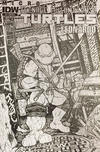 Cover Thumbnail for Teenage Mutant Ninja Turtles Microseries (2011 series) #4 [Cover RI-A - David Petersen]