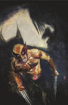 Cover for Predator vs. Wolverine (Marvel, 2023 series) #1 [Alex Maleev Virgin Art Cover]