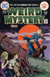 Cover for Weird Mystery Tales (DC, 1972 series) #16