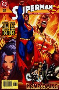 Cover Thumbnail for Superman (DC, 1987 series) #203 [Direct Sales]