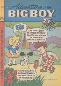 Cover Thumbnail for Adventures of the Big Boy (Webs Adventure Corporation, 1957 series) #220
