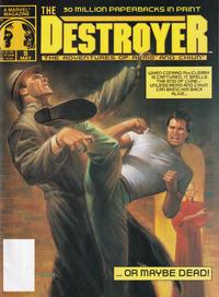 Cover Thumbnail for The Destroyer (Marvel, 1989 series) #8