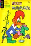 Cover for Walter Lantz Woody Woodpecker (Western, 1962 series) #119