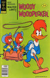 Cover for Walter Lantz Woody Woodpecker (Western, 1962 series) #160 [Gold Key]