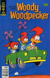 Cover for Walter Lantz Woody Woodpecker (Western, 1962 series) #166 [Gold Key]