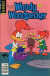 Cover for Walter Lantz Woody Woodpecker (Western, 1962 series) #176 [Gold Key]