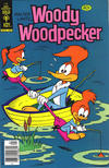 Cover for Walter Lantz Woody Woodpecker (Western, 1962 series) #178 [Gold Key]