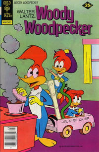 Cover Thumbnail for Walter Lantz Woody Woodpecker (Western, 1962 series) #164