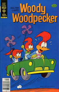 Cover Thumbnail for Walter Lantz Woody Woodpecker (Western, 1962 series) #166 [Gold Key]