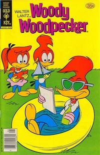 Cover Thumbnail for Walter Lantz Woody Woodpecker (Western, 1962 series) #169 [Gold Key]