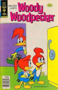 Cover Thumbnail for Walter Lantz Woody Woodpecker (Western, 1962 series) #173