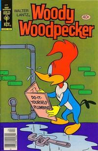 Cover Thumbnail for Walter Lantz Woody Woodpecker (Western, 1962 series) #177 [Gold Key]