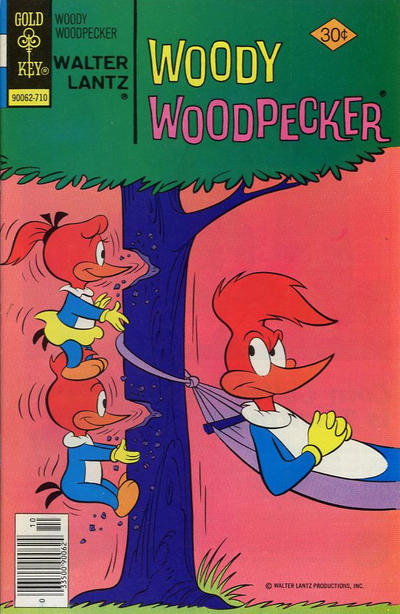 Cover for Walter Lantz Woody Woodpecker (Western, 1962 series) #161 [Gold Key]