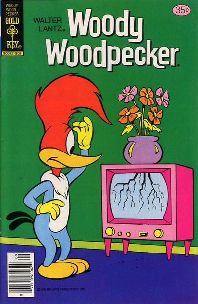 Cover for Walter Lantz Woody Woodpecker (Western, 1962 series) #170 [Gold Key]