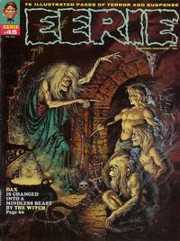 Cover Thumbnail for Eerie (Warren, 1966 series) #45