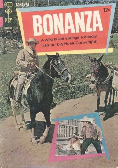 Cover for Bonanza (Western, 1962 series) #24