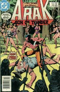 Cover Thumbnail for Arak / Son of Thunder (DC, 1981 series) #28 [Newsstand]