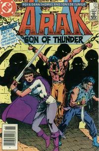 Cover Thumbnail for Arak / Son of Thunder (DC, 1981 series) #38 [Newsstand]