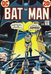 Cover Thumbnail for Batman (DC, 1940 series) #249