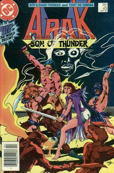Cover for Arak / Son of Thunder (DC, 1981 series) #43 [Newsstand]