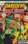Cover for Daredevil (Marvel, 1964 series) #98
