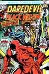 Cover for Daredevil (Marvel, 1964 series) #104
