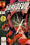 Cover Thumbnail for Daredevil (1964 series) #260 [Direct]