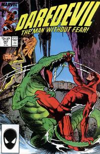 Cover Thumbnail for Daredevil (Marvel, 1964 series) #247 [Direct]