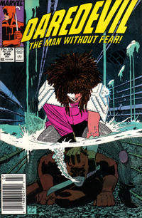 Cover Thumbnail for Daredevil (Marvel, 1964 series) #256 [Newsstand]