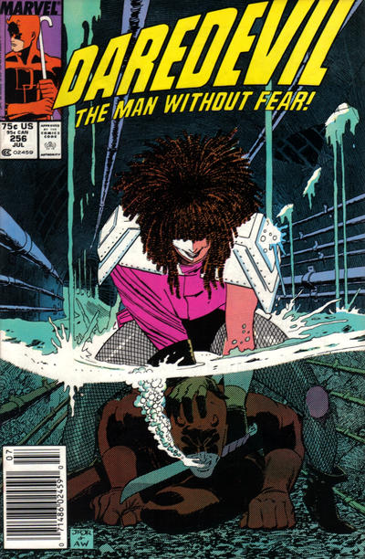 Cover for Daredevil (Marvel, 1964 series) #256 [Direct]