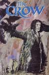 Cover for The Crow (Image, 1999 series) #8