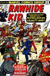Cover for The Rawhide Kid (Marvel, 1960 series) #132