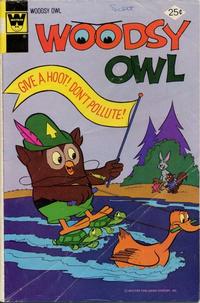 Cover for Woodsy Owl (Western, 1973 series) #10 [Whitman]
