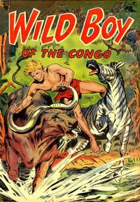 Cover Thumbnail for Wild Boy of the Congo (St. John, 1953 series) #13