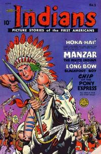Cover for Indians (Fiction House, 1950 series) #1