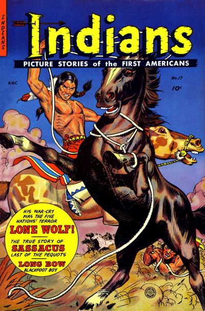 Cover for Indians (Fiction House, 1950 series) #17