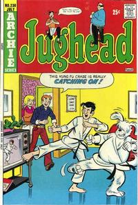 Cover Thumbnail for Jughead (Archie, 1965 series) #230
