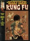 Cover for The Deadly Hands of Kung Fu (Marvel, 1974 series) #14