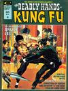 Cover for The Deadly Hands of Kung Fu (Marvel, 1974 series) #17