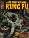 Cover for The Deadly Hands of Kung Fu (Marvel, 1974 series) #27