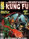 Cover for The Deadly Hands of Kung Fu (Marvel, 1974 series) #29